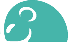 Dormouse head img